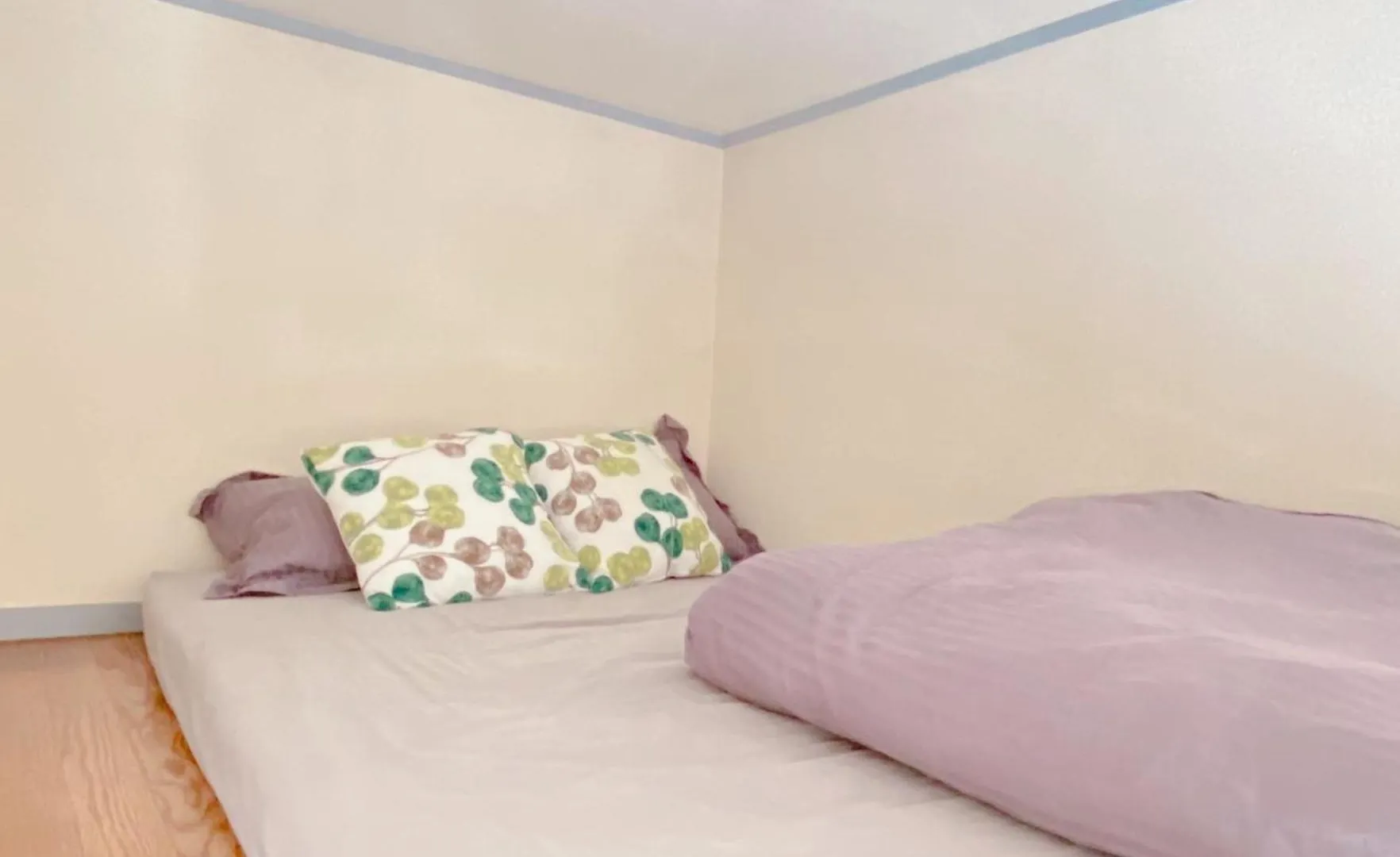 *Exquisite Newly Renovated Rom In Very Deeptokyo Apartment